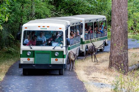 Prices For Admission Tickets And Discounts At Northwest Trek Wildlife