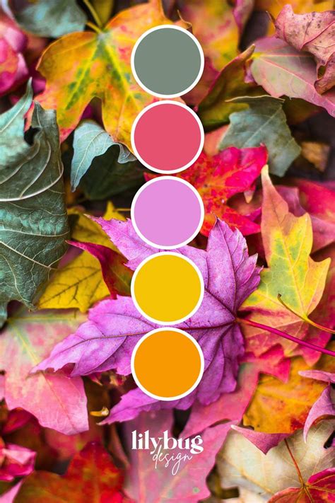 Autumn Leaves Colour Palette By Lilybug Graphic Design At