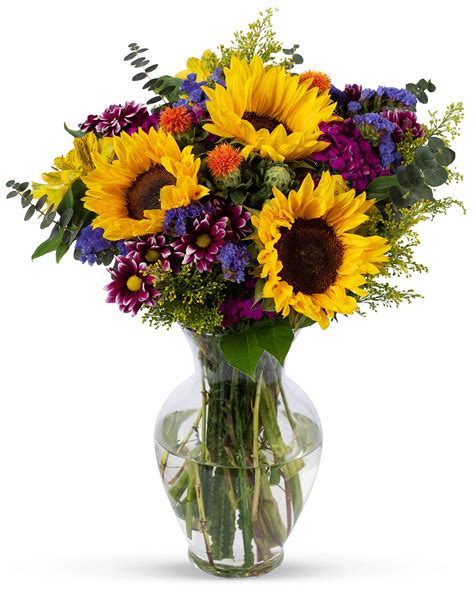 Benchmark Bouquets Flowering Fields With Vase Fresh Cut Flowers Buy