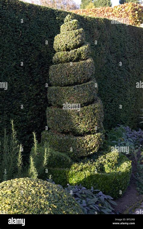 Box Hedge Topiary Hi Res Stock Photography And Images Alamy