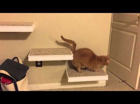 Perhaps my favorite vertical kitty space solution of all. Cat Wall Steps Munchkin Style - YouTube