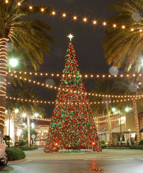 Destin Florida Florida Christmas Large Christmas Tree Christmas