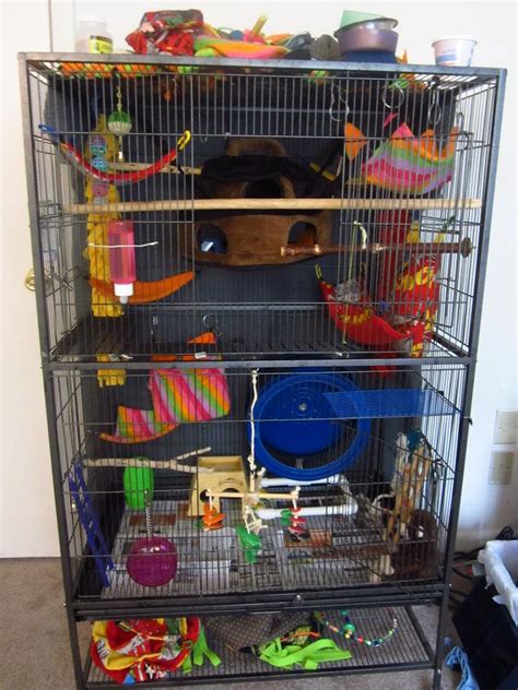 The cost of making a pvc cage varies greatly. GliderGossip - Is this a good sugar glider cage?