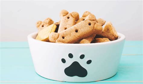How To Make Dog Treats 20 Recipes For Your Pet By Viktoria Kanevsky