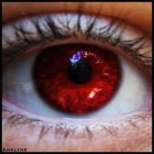 Image Result For Dark Red Eye Color Rare Eye Colors Rare Eyes Eye Art