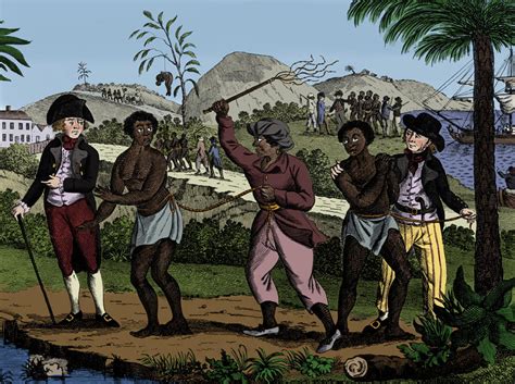 Caribbean Slave Trade 18th Century Photograph By Science Source