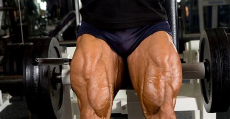 You can track any type of workout set, including. Leg Workout | The Best Exercises For Quadriceps ...