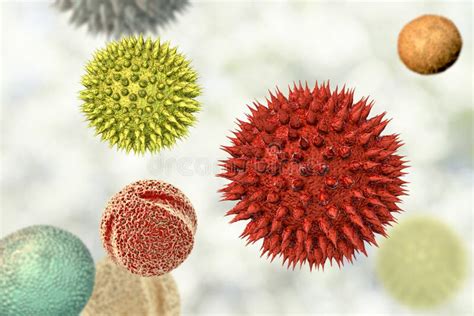 Pollen Grains From Different Plants Stock Illustration Illustration