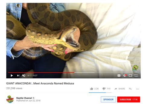 Anaconda Snake Youtube Anaconda Gallery
