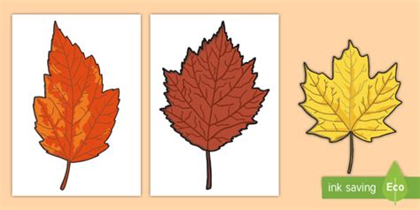 Free Printable Colored Fall Leaves