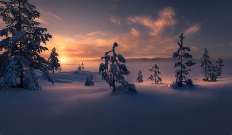 Free Download Hd Wallpaper Winter Snow Trees Sunset Norway The