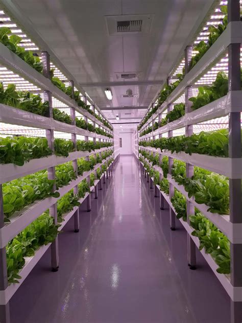 Automation Stations In Vertical Farming Macron Dynamics