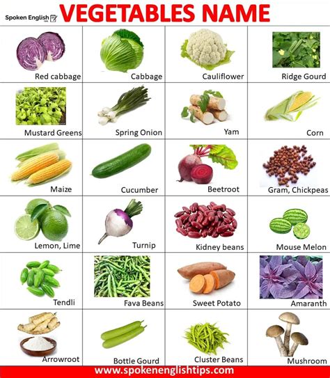 List Of 100 Vegetables Name In English With Pictures