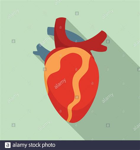 Anatomy Human Heart Icon Flat Illustration Of Anatomy Human Heart