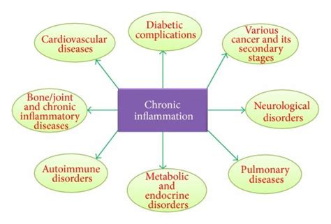 Chronic Inflammation Associated Diseasesdisorders Due To Longer Term