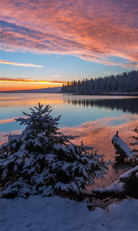 Snow Covered Trees Along The Side Of Lake During Evening Sunset 4k 5k