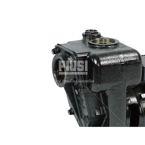 Piusi E300 Diesel Pump 240v Ac 550lpm F00321000