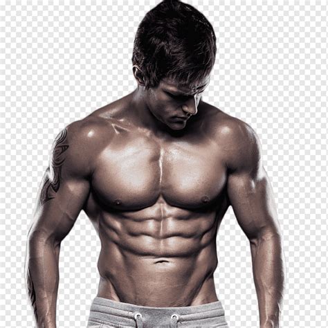 Rectus Abdominis Muscle Exercises Sexiz Pix