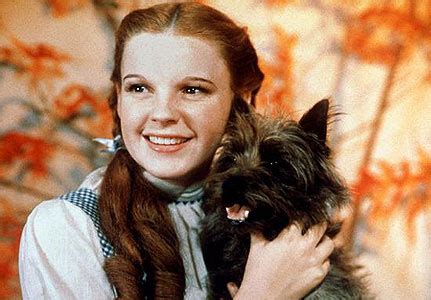 The Wizard Of Oz A Matriarchal Dreamland Spoiler Alert Ruby