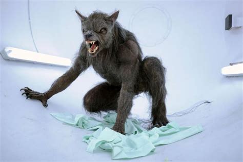 ‘being Human A Recent Bbc Series Took A Sideways Look At Werewolf