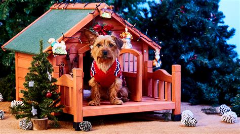 Deck The Dog House With Holiday Decorations