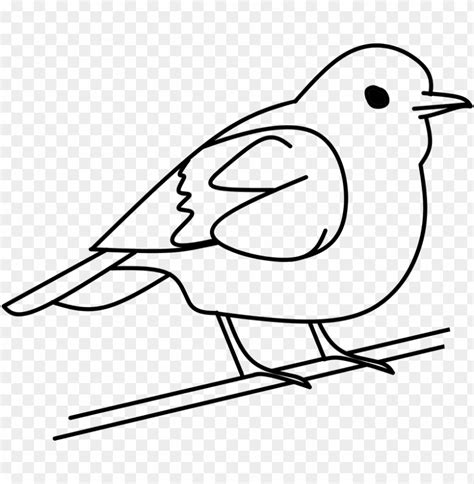 Bird Clipart Black And White Free 10 Free Cliparts Download Images On