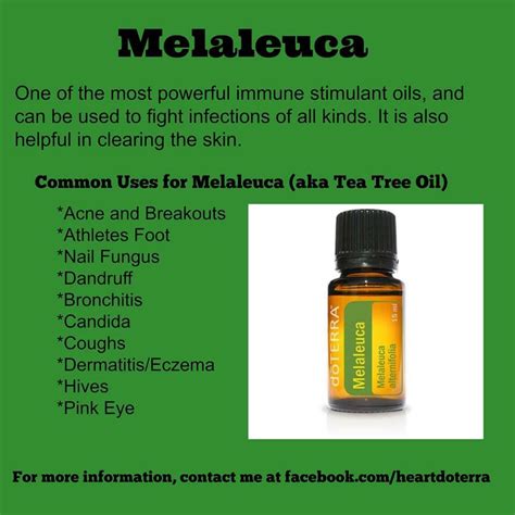 Doterra Melaleuca Heartdoterra Tea Tree Oil For Acne