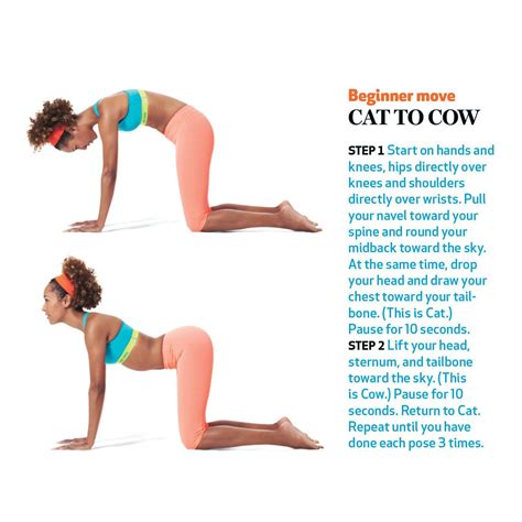 51 Top Images Cat Cow Exercise For Pregnancy Exercises For Pregnant