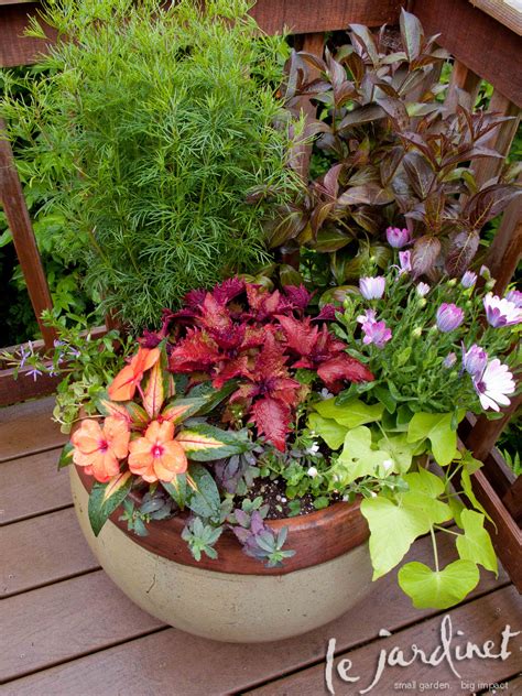 Color Inspiration For Container Gardens Le Jardinet