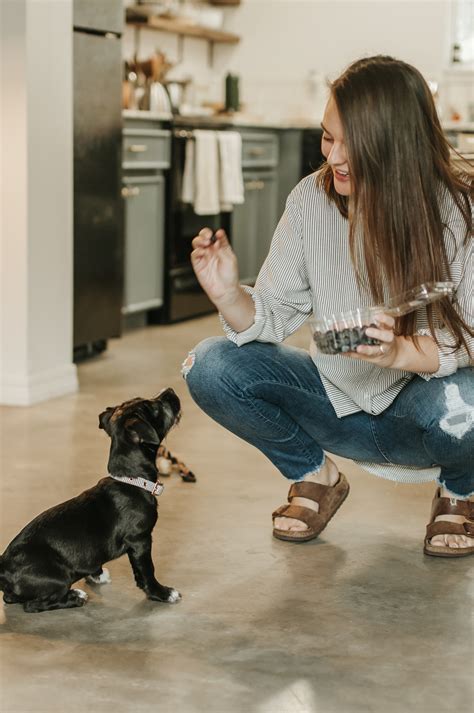 Find out what food recalls turned our heads in 2019. Top 5 Recalled Dog Food Brands - Furever Haus