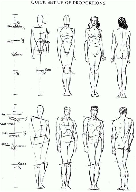 Proportions Figure Drawing Archives How To Draw Step By Step Drawing