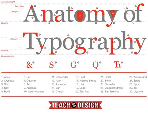 Anatomy Of Type Anatomy Of Typography Typography Terms Typographic Poster Design