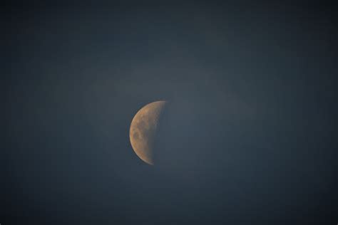 Less Than Half A Moon Free Stock Photo Public Domain Pictures