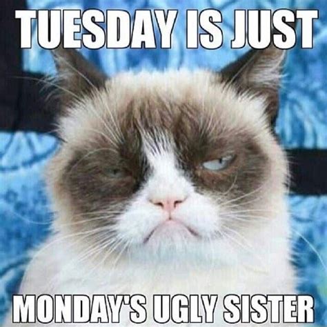 Tuesday is the 2.0 version of monday. 15 Happy Tuesday Memes - Best Funny Tuesday Memes