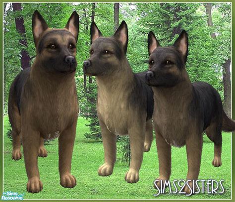 The Sims Resource German Shepherd Dog Set