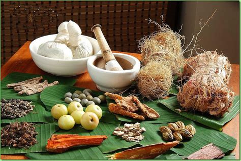 Traditional Healing Systems Ayurveda — Stephen F Lewis Lmhc
