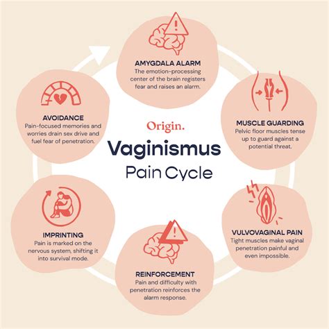 A Cure For Painful Sex Breaking The Vaginismus Pain Cycle Origin