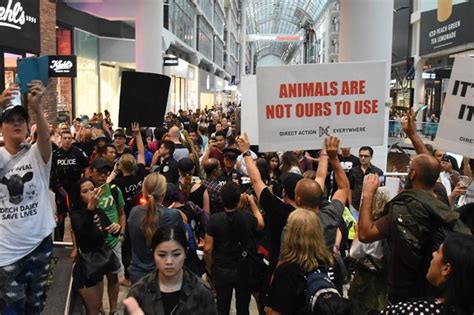 The city officially moved into the grey control lockdown zone the day this was recorded. Toronto Eaton Centre placed on lockdown after anti-fur ...