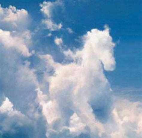 Horse Cloud Clouds Scenery Beautiful Nature