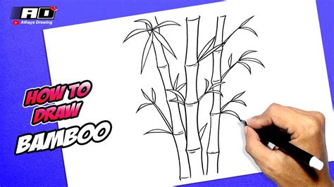 How To Draw Bamboo Youtube