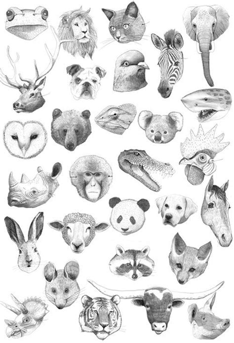 Image Result For Cute Animal Head Drawings For Art Thou Pinterest