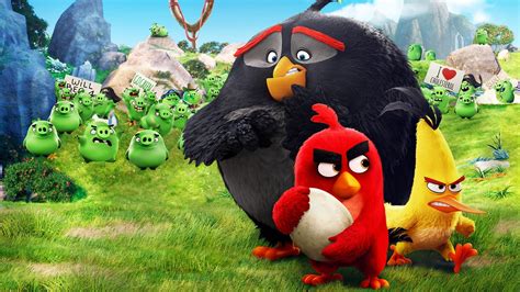 The Angry Birds Movie Latest Hd Movies 4k Wallpapers