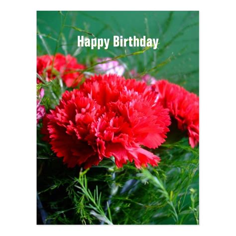 Red Carnations Happy Birthday Postcard