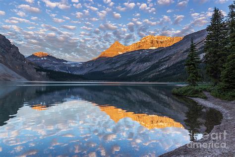 Alpenglow Bow Lake Banff Photograph By Daryl L Hunter Fine Art America
