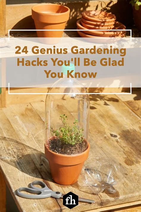 24 genius gardening hacks you ll be glad you know in 2021 gardening tips diy herb garden
