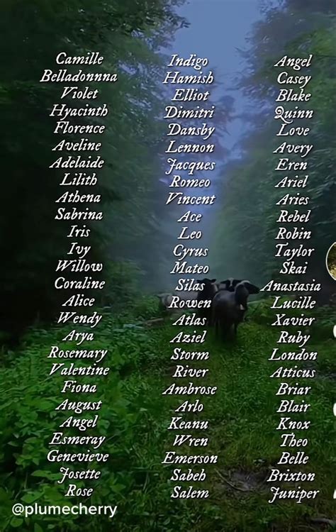 Fantasy Character Names Best Character Names Fantasy Names Writing