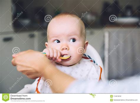 If you choose to order 1 blend per day, you pay $3.49 per blend. Mother Feeding Little Baby With Spoon Stock Photo - Image ...