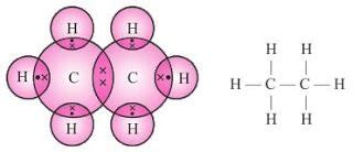 Unique Studyrankers Class Science Notes Gunpowder Chemical Equation