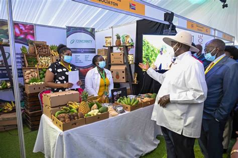 Museveni Woos South African Investors Softpower News