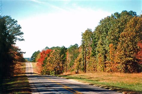 8 Country Roads In Texas With Beautiful Fall Foliage